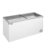 Vrieskast consumptie-ijs NIC502SC