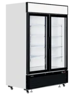 Displayvrieskast LGF5000
