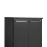 Hoogwaardige KEG koeler SKB-2